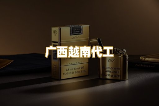 广西越南代工